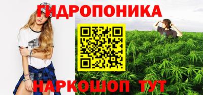 шишки Малгобек