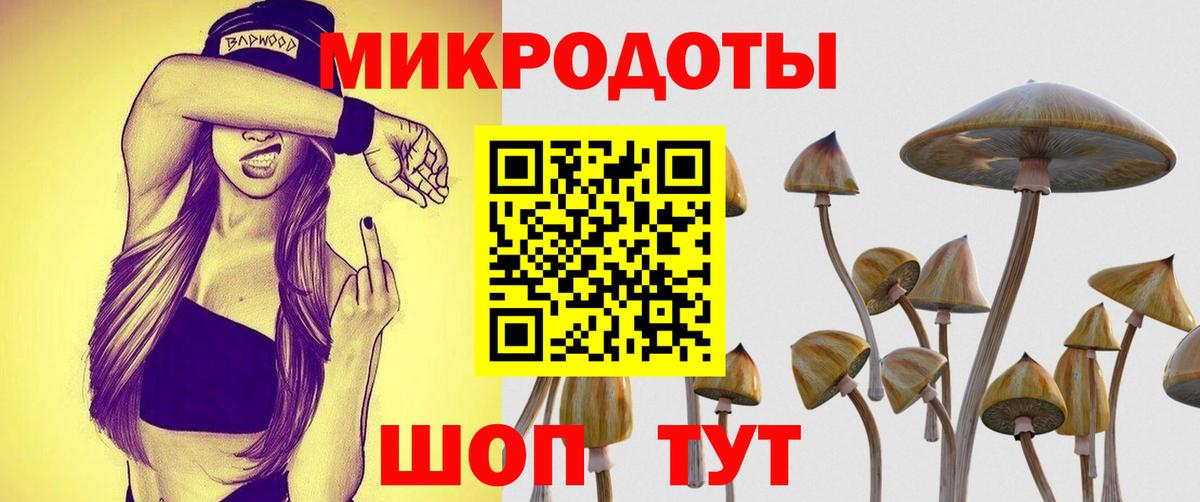 Галлюциногенные грибы MAGIC MUSHROOMS  Вход с VPN  Городец 